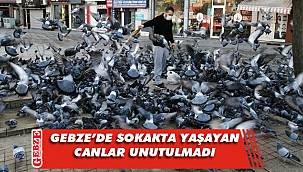 Güvercinler aç kalmadı
