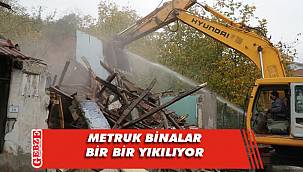 İlk kepçe Darıca'da vurulmuştu