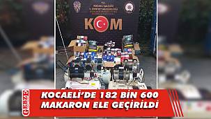 Kocaeli'de kaçakçılık operasyonu