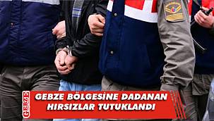 Kocaeli jandarmasından bir başarılı operasyon daha