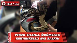 KOM polisi gördüklerine şaşırdı