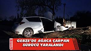 Kontrolünü kaybeden sürücü ağaca çarptı