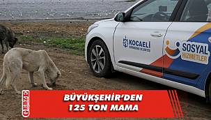 Sessiz dostlarımızı yeni yılda da Büyükşehir doyuracak