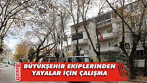 Tehlike arz eden dallar budandı