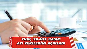 TUİK, Yurt Dışı Üretici Fiyat Endeksi'ni açıkladı