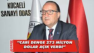 Zeytinoğlu, ödemeler dengesi verilerini değerlendirdi