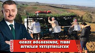 Büyükşehir, Gebze bölgesinde şifalı bitkiler yetiştirecek