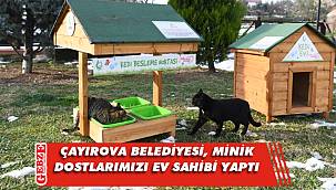 Çayırova'da sokak hayvanlarına sıcak yuva