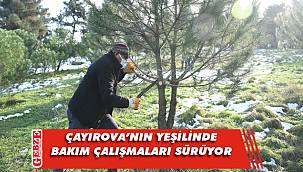 Çayırova'nın yeşili için hummalı çalışma