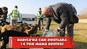 Darıca’da sokak hayvanları aç kalmadı