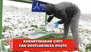 Darıca'nın başkanı minik dostlarımızı unutmadı