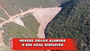 Dolgu alanlarında ağaçlandırma çalışmaları sürüyor