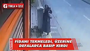 Gebze'de bir kadın kaldırımdaki fidanı kırdı
