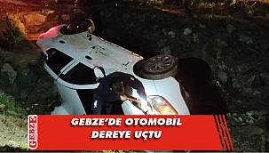 Gebze'de otomobil dereye devrildi