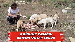 Gebze’de sokak hayvanları aç kalmadı