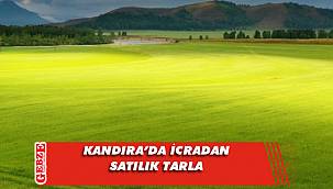 Kandıra Çakmaklar'da 1653 metrekare tarla icradan satılık