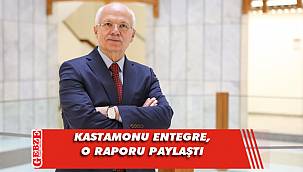 Kastamonu Entegre'den sektörü ilgilendiren rapor