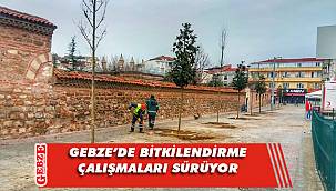 Kent meydanı manolya ağaçlarıyla güzelleşiyor