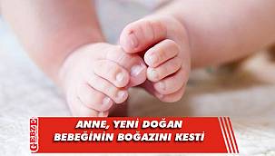 Kocaeli'nde kan donduran iddia