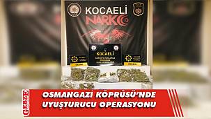 Kocaeli'nde yaklaşık 9 kilo esrar ele geçirildi