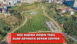 Kocaeli'nde yeşil alan miktarı artıyor