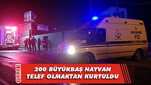 Tavşanlı’da besi çiftliğinde yangın