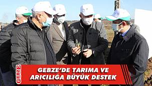 Tavşanlı'da korunga tohumu ekildi