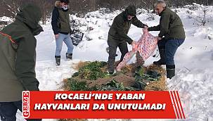 Yaban hayvanları için doğaya yem bırakıldı