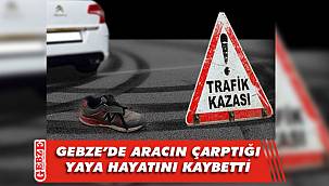 Yolun karşısına geçmeye çalışırken canından oldu