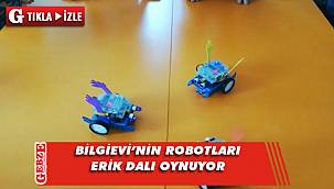 Bu robotlar 'Erik dalı' oynuyor