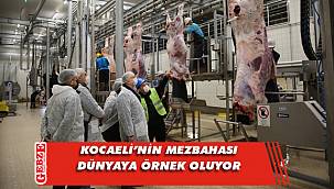 Büyükşehir mezbahası dünyaya örnek