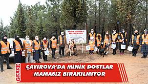 Çayırova'da canlı dostlarımıza yardım eli