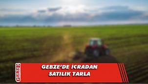 Denizli Mahallesi’nde 3 bin 603 metrekare tarla icradan satılık