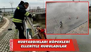 Dereye düşen köpekleri KBB itfaiyesi kurtardı