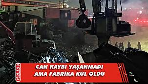 Gebze'deki yangın söndürüldü
