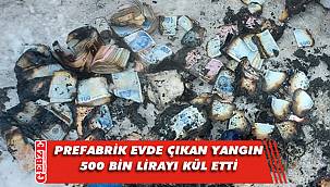 Gebze'deki yangında 500 bin lirası kül oldu