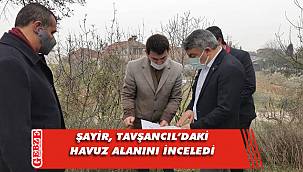 Hamza Şayir'den havuza inceleme