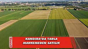 Kandıra’da 2 bin 412 metrekare tarla mahkemeden satılık