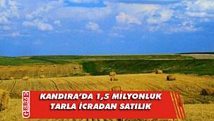 Kandıra’da 44 bin 756 metrekare tarla icradan satılık