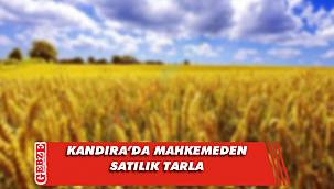 Kandıra’da 7 bin 421 metrekare tarla mahkemeden satılık