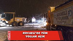 Kar, Büyükşehir'e vız geldi