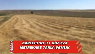 Kartepe Uzuntarla’da 11 bin 793 metrekare tarla mahkemeden satılık