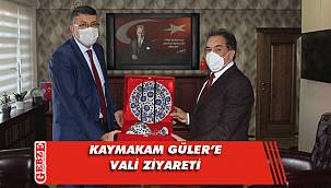 Kaymakam Güler'e Kütahya'dan misafir