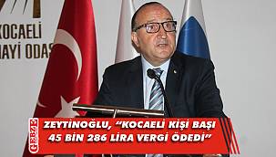 Kocaeli devlete en fazla kazanç sağlayan il oldu