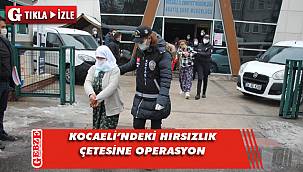 Kocaeli'nde hırsızlık çetesi çökertildi