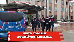 Kocaeli'nde yakalanan düzensiz göçmenlerin arasına sızmış