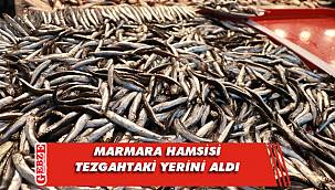 Marmara hamsisi tezgahta yerini aldı