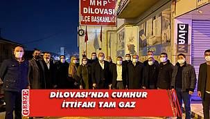 Şayir ve Yıldırım, MHP'ye gitti