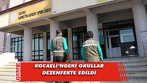 Yüz yüze eğitim öncesinde okullarda ilaçlama