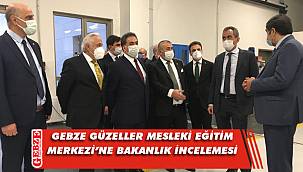 Bakan Yardımcısı Özer'den Gebze'de inceleme